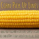Corn Pick Up Lines