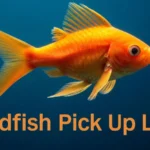 Goldfish Pick Up Lines
